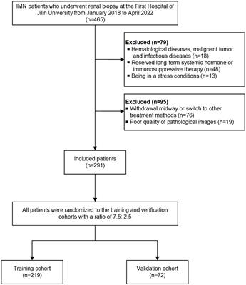 Prediction of immunotherapy response in idiopathic membranous nephropathy using deep learning-pathological and clinical factors